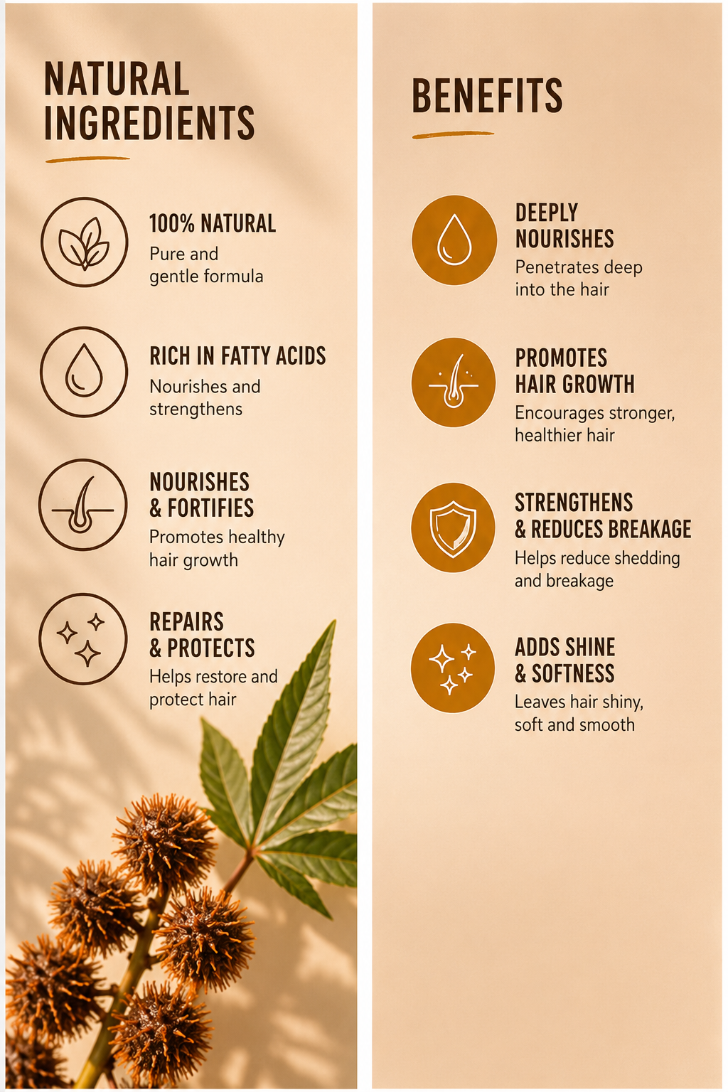 Black Castor Oil